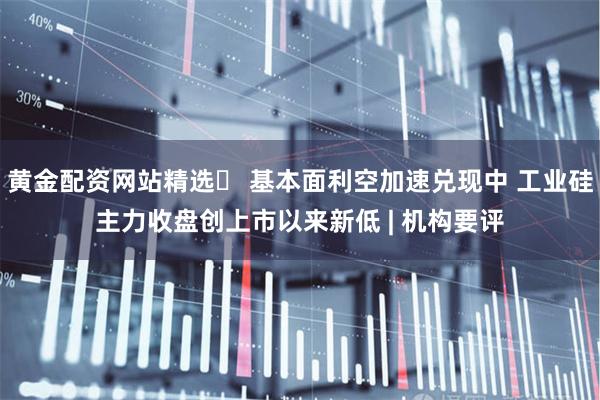 黄金配资网站精选	 基本面利空加速兑现中 工业硅主力收盘创上市以来新低 | 机构要评