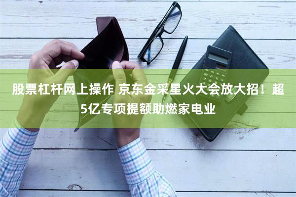 股票杠杆网上操作 京东金采星火大会放大招！超5亿专项提额助燃家电业