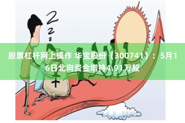 股票杠杆网上操作 华宝股份（300741）：5月16日北向资金增持4.91万股