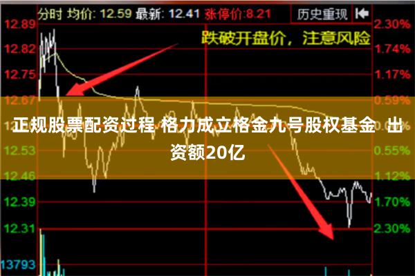 正规股票配资过程 格力成立格金九号股权基金  出资额20亿
