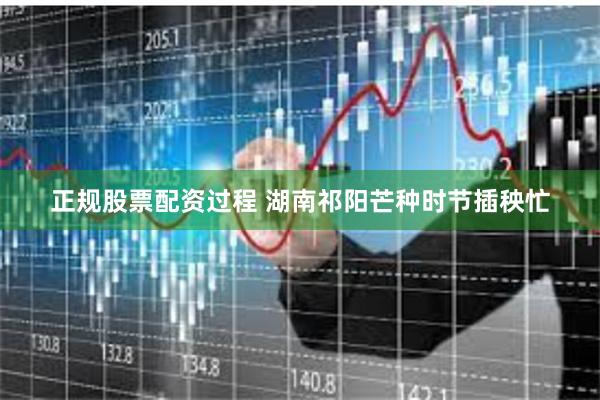 正规股票配资过程 湖南祁阳芒种时节插秧忙