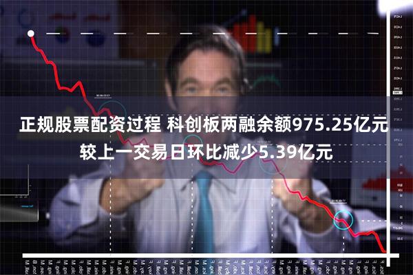 正规股票配资过程 科创板两融余额975.25亿元 较上一交易日环比减少5.39亿元