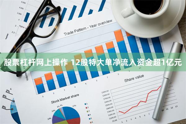 股票杠杆网上操作 12股特大单净流入资金超1亿元
