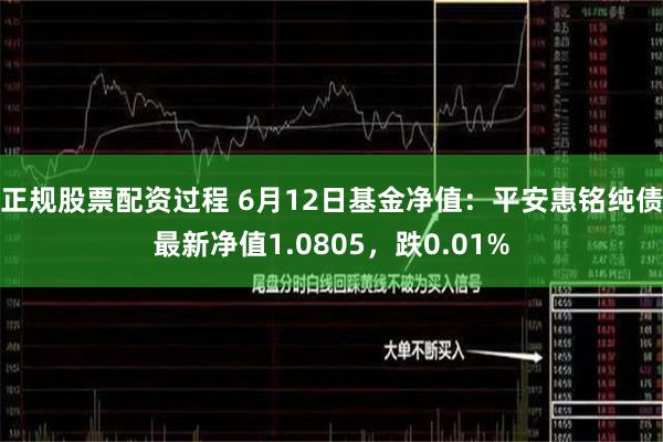 正规股票配资过程 6月12日基金净值：平安惠铭纯债最新净值1.0805，跌0.01%