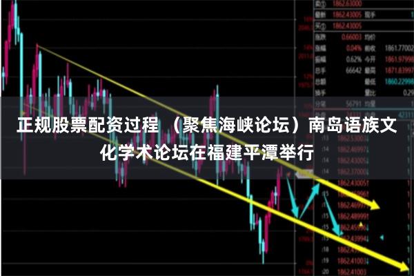 正规股票配资过程 （聚焦海峡论坛）南岛语族文化学术论坛在福建平潭举行