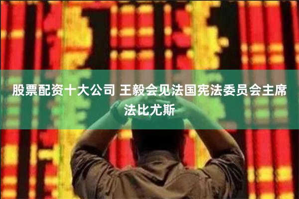 股票配资十大公司 王毅会见法国宪法委员会主席法比尤斯