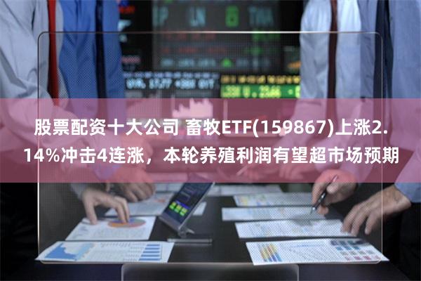 股票配资十大公司 畜牧ETF(159867)上涨2.14%冲击4连涨，本轮养殖利润有望超市场预期