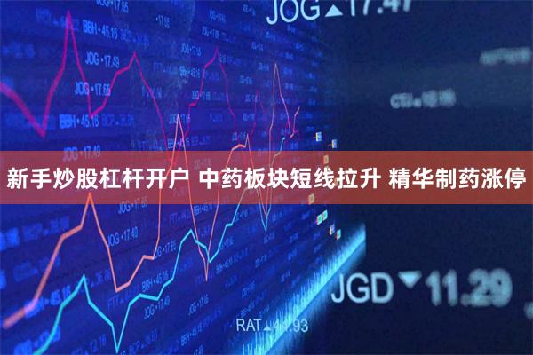 新手炒股杠杆开户 中药板块短线拉升 精华制药涨停