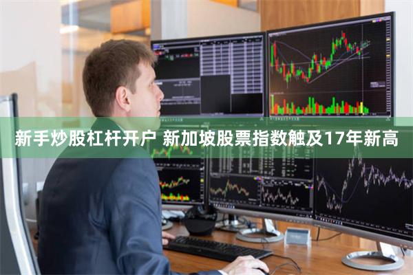 新手炒股杠杆开户 新加坡股票指数触及17年新高