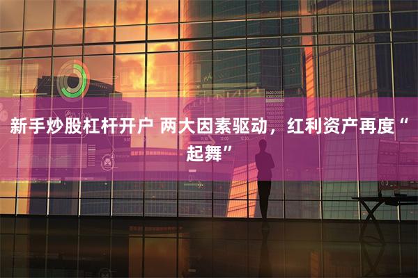 新手炒股杠杆开户 两大因素驱动，红利资产再度“起舞”