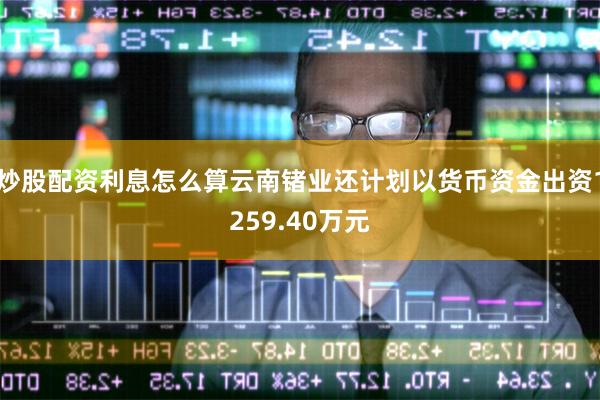 炒股配资利息怎么算云南锗业还计划以货币资金出资1259.40万元
