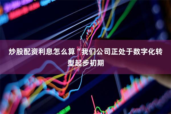炒股配资利息怎么算　　“我们公司正处于数字化转型起步初期
